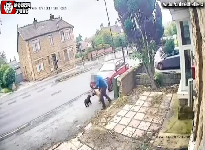Video :A guy attempting to repel an aggressive dog gets pulled down the road